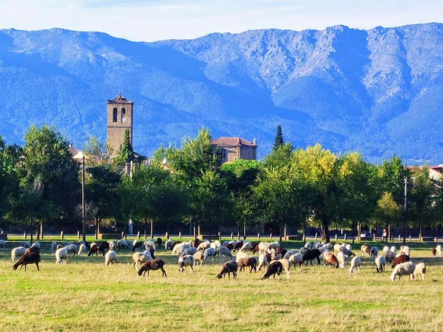 El Escondite De Molina. Valle Del Tietar. La Iglesuela Екстер'єр фото